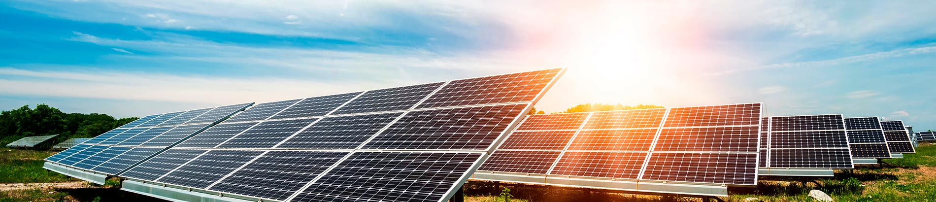 Foto de um campo de energia fotovoltaica